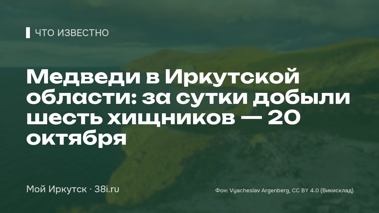 Медведи в Иркутской области: за сутки добыли шесть хищников — 20 октября