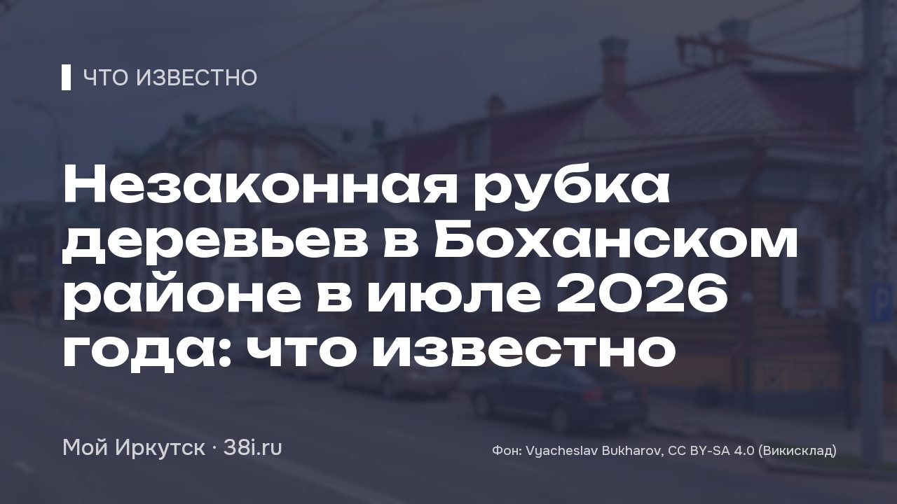 Незаконная рубка деревьев в Боханском районе в июле 2026 года: что известно
